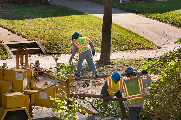 Best Lawn Grading and Leveling  in Oak Ridge, FL